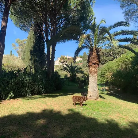 Casa Hermosa 4* Михас