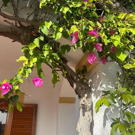 Casa Hermosa Отель типа 