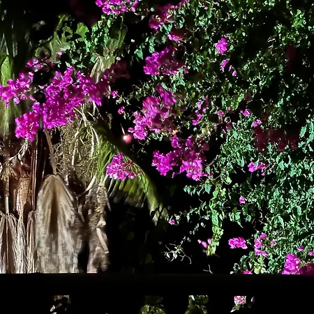 Casa Hermosa Bed & Breakfast 4*