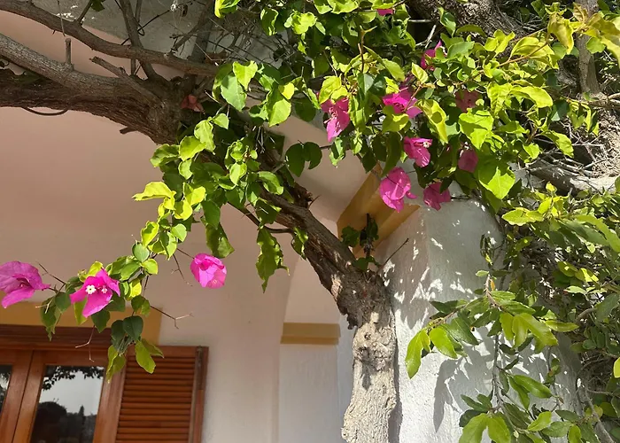 Casa Hermosa Frühstückspension